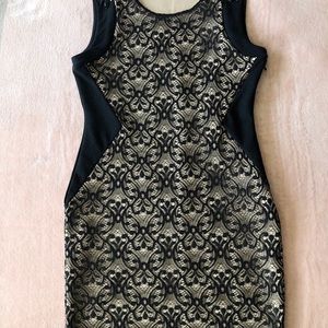 Gianni Bini Dress